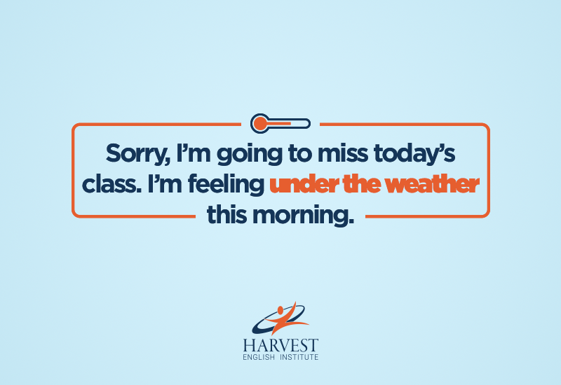 10 English Idioms You ll Use In The United States Harvest