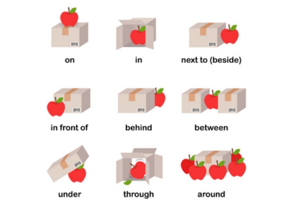 10 Preposition Sentences Examples