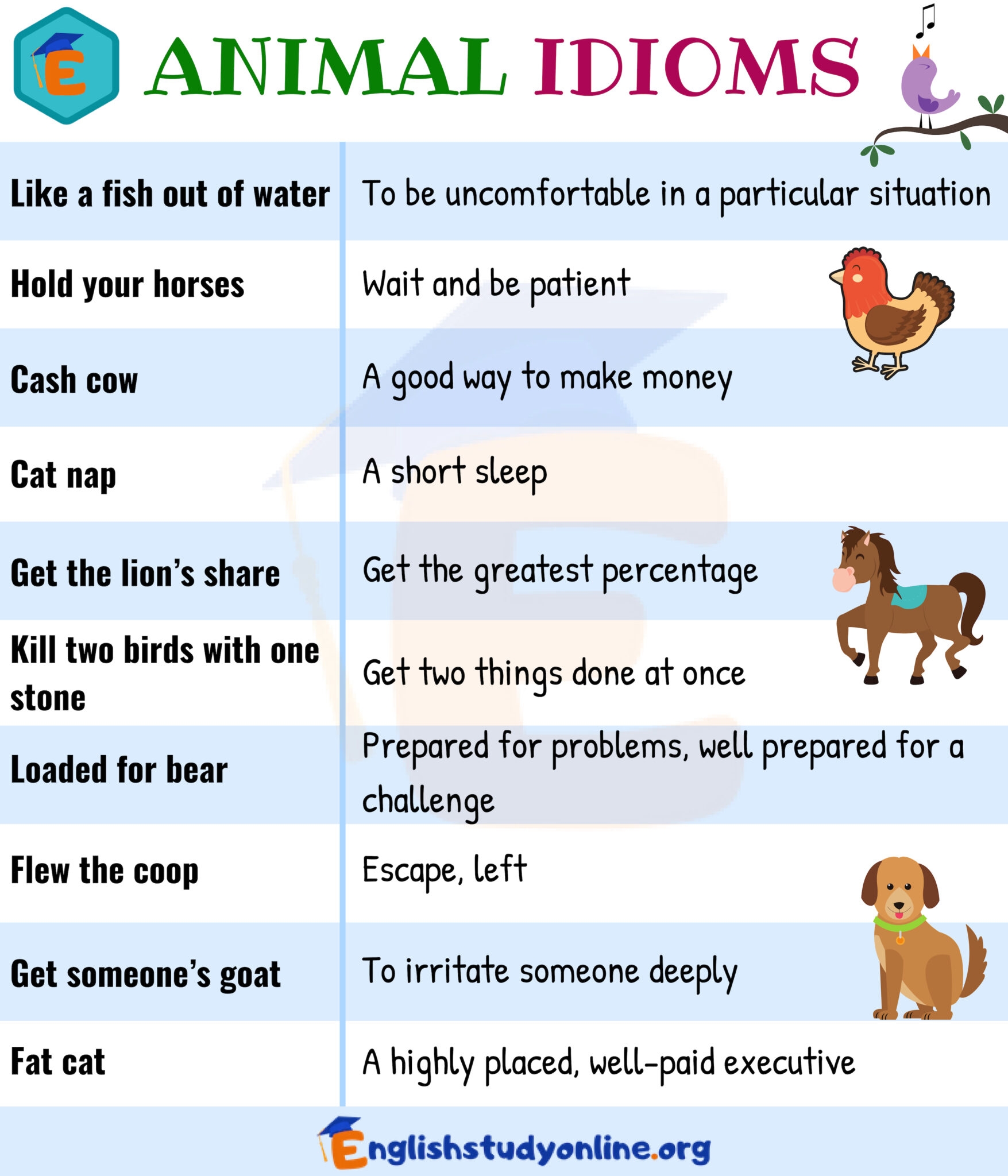 10 Useful Animal Idioms In English With Their Meaning English Study 