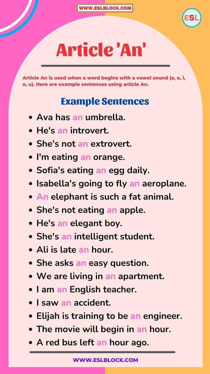 100 Example Sentences Using Articles A An The