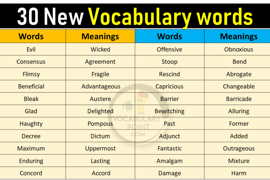 30 New Vocabulary Words Vocabulary Point