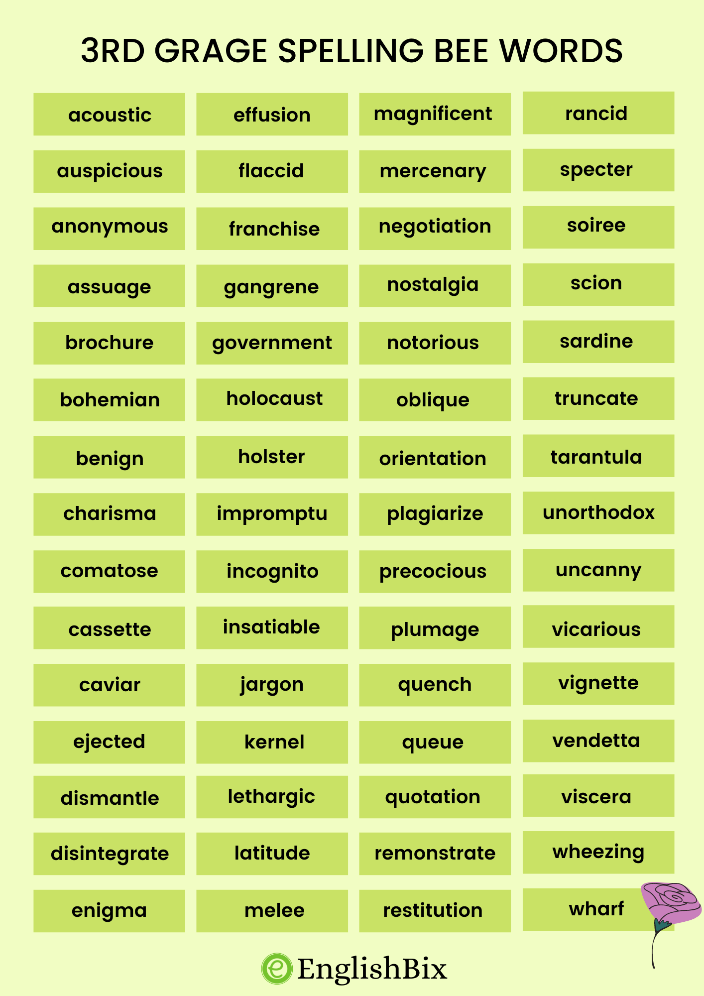 3rd Grade Spelling Bee Vocabulary Words List EnglishBix