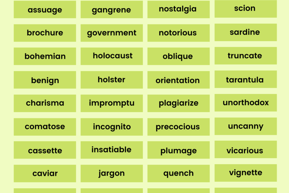3rd Grade Spelling Bee Vocabulary Words List EnglishBix