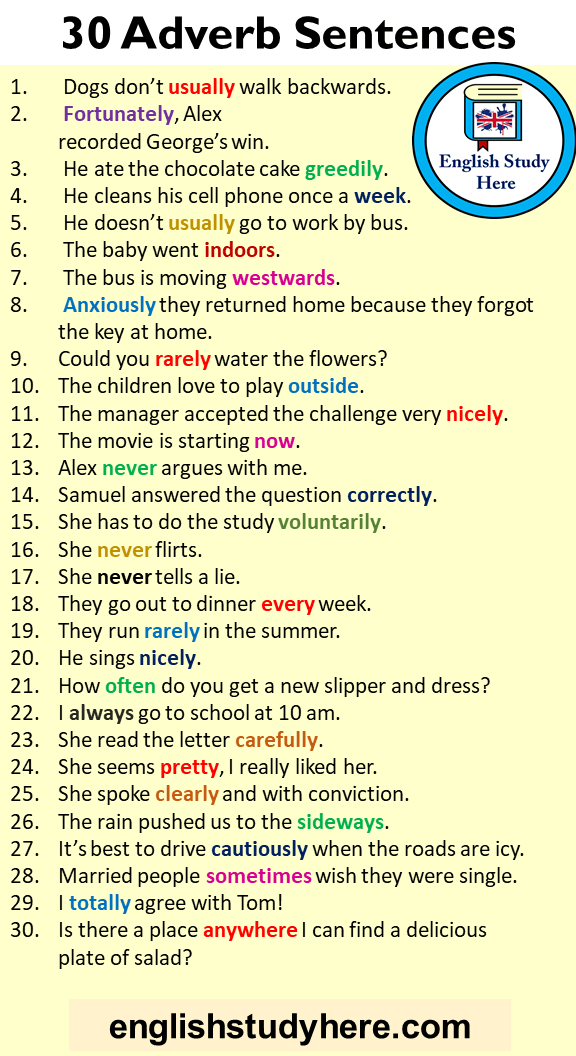 5 Adverb Example Sentences English Study Here