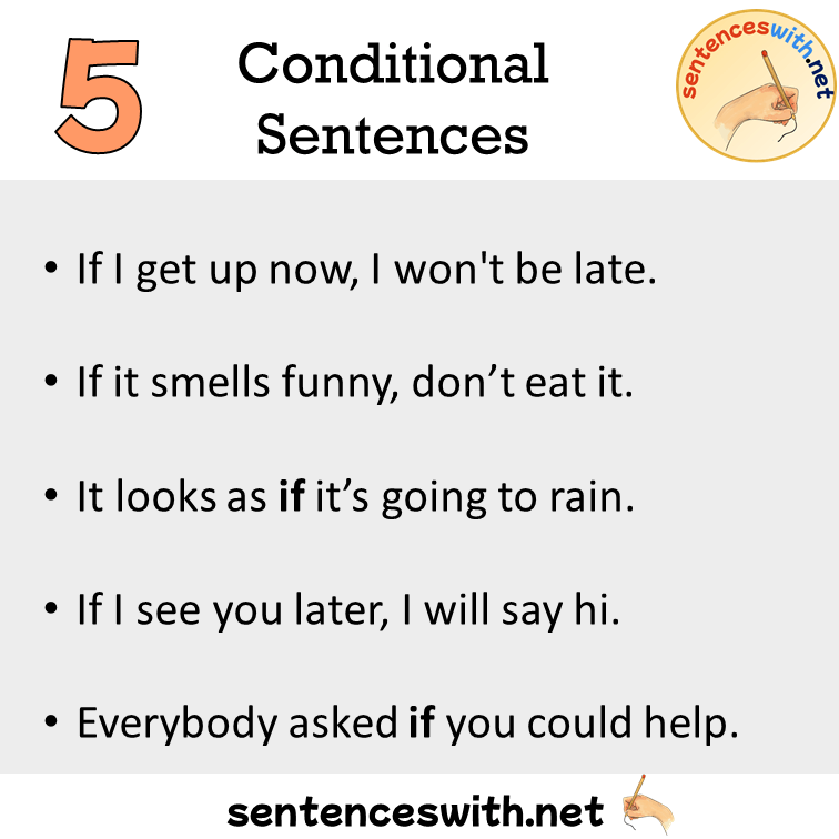 5 Conditional Sentences Examples Conditionals In A Sentence 