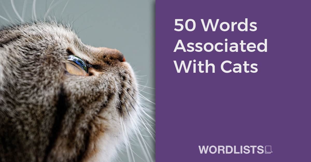 50 Words Associated With Cats