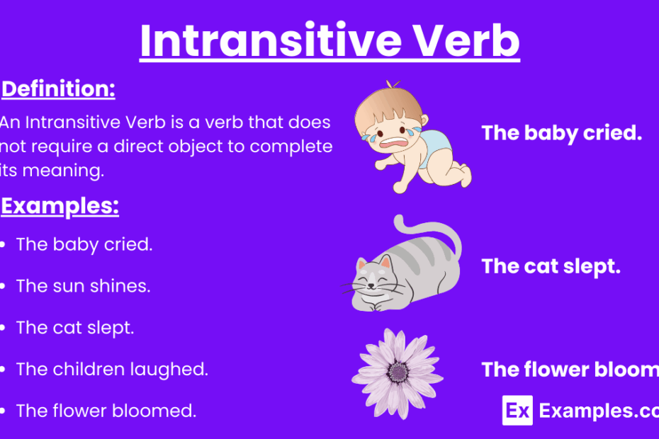 70 Intransitive Verb Examples