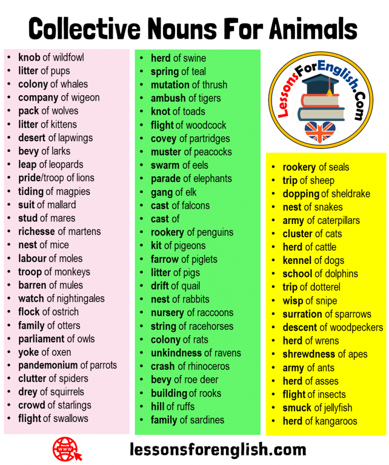 75 Collective Nouns For Animals In English Lessons For English