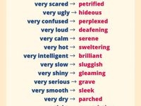 english vocabulary exam english vocabulary exam