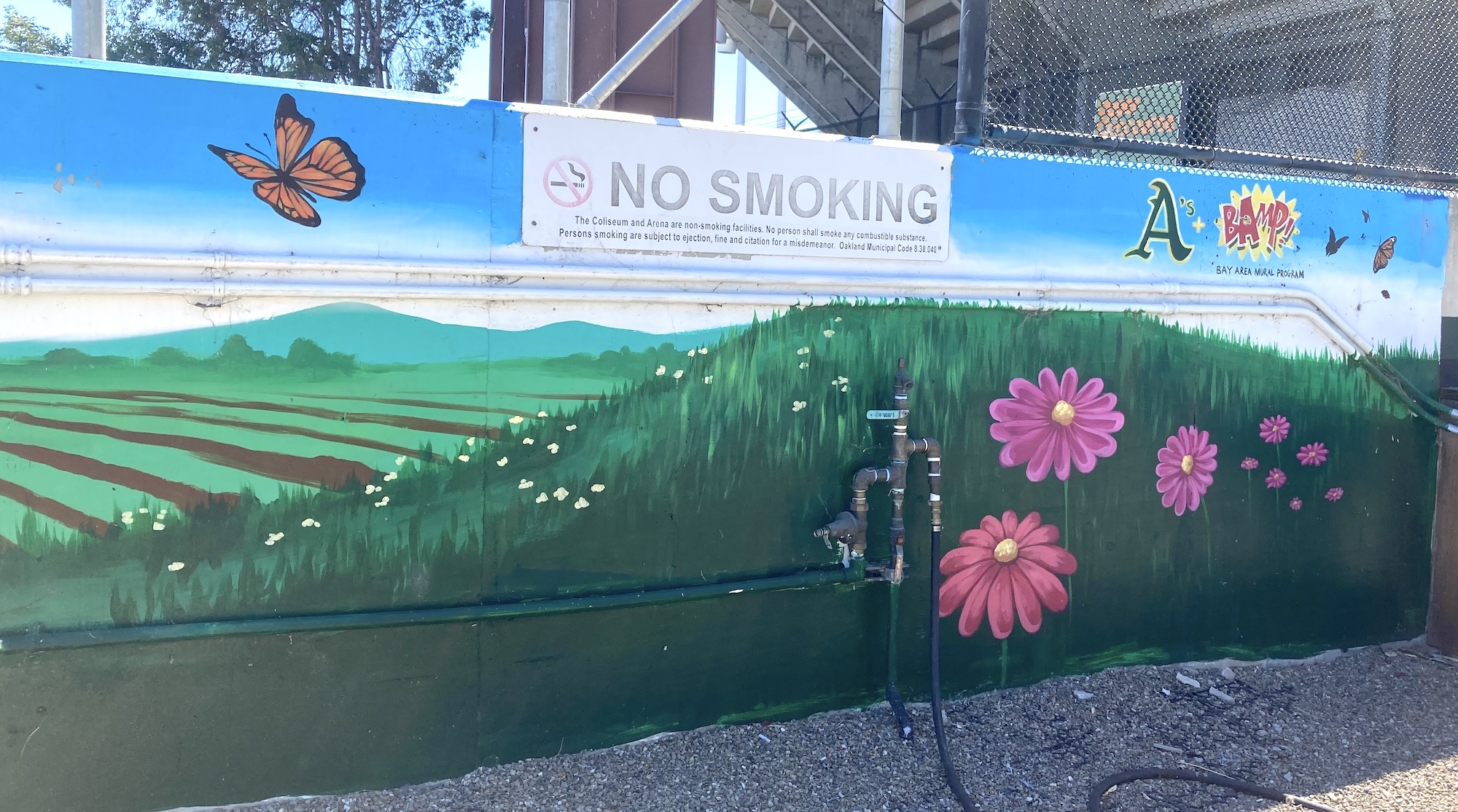 Acta Non Verba Oakland Murals