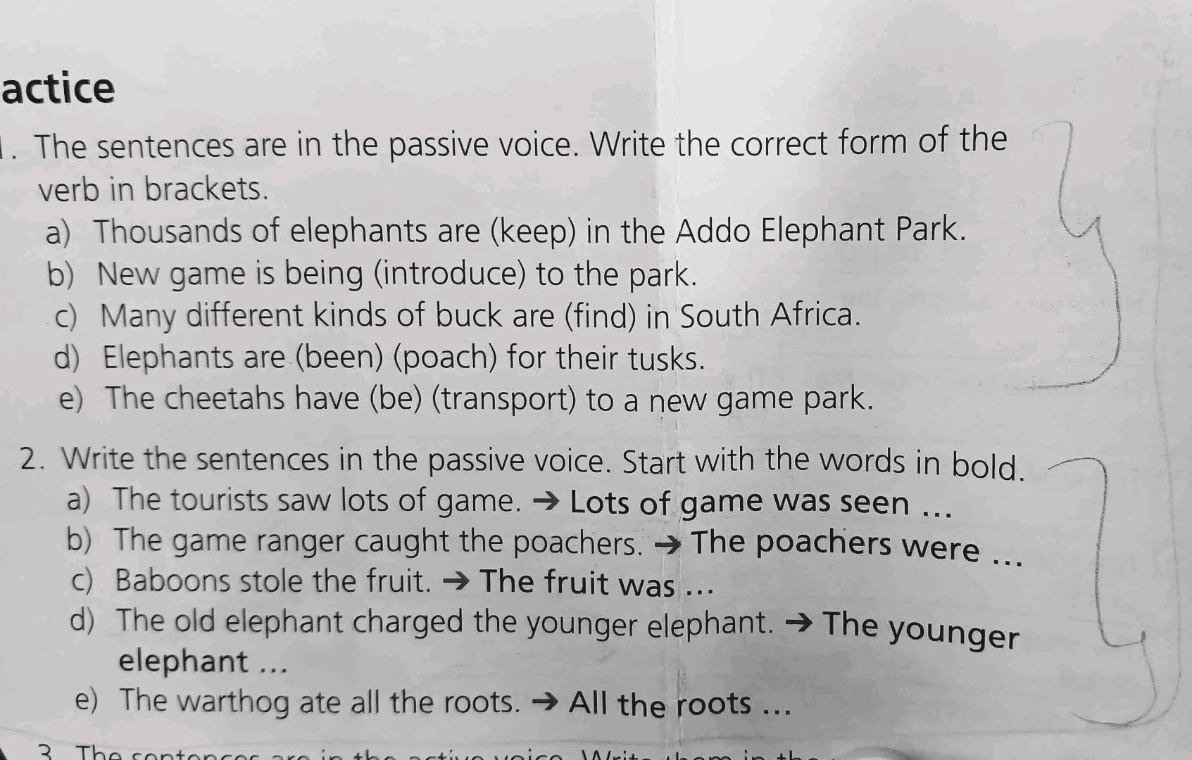 Actice The Sentences Are In The Passive Voice StudyX