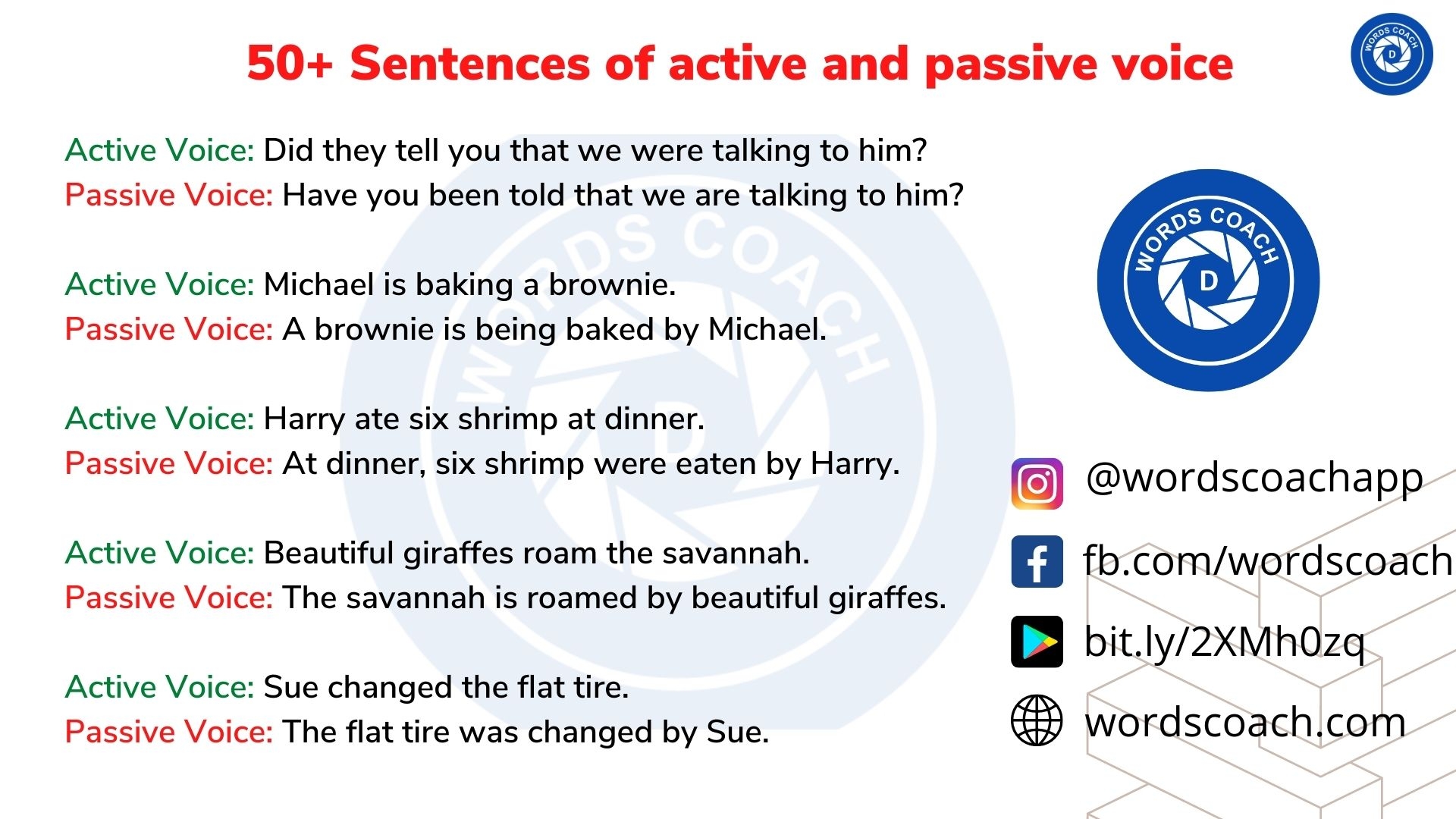 passive voice example sentence