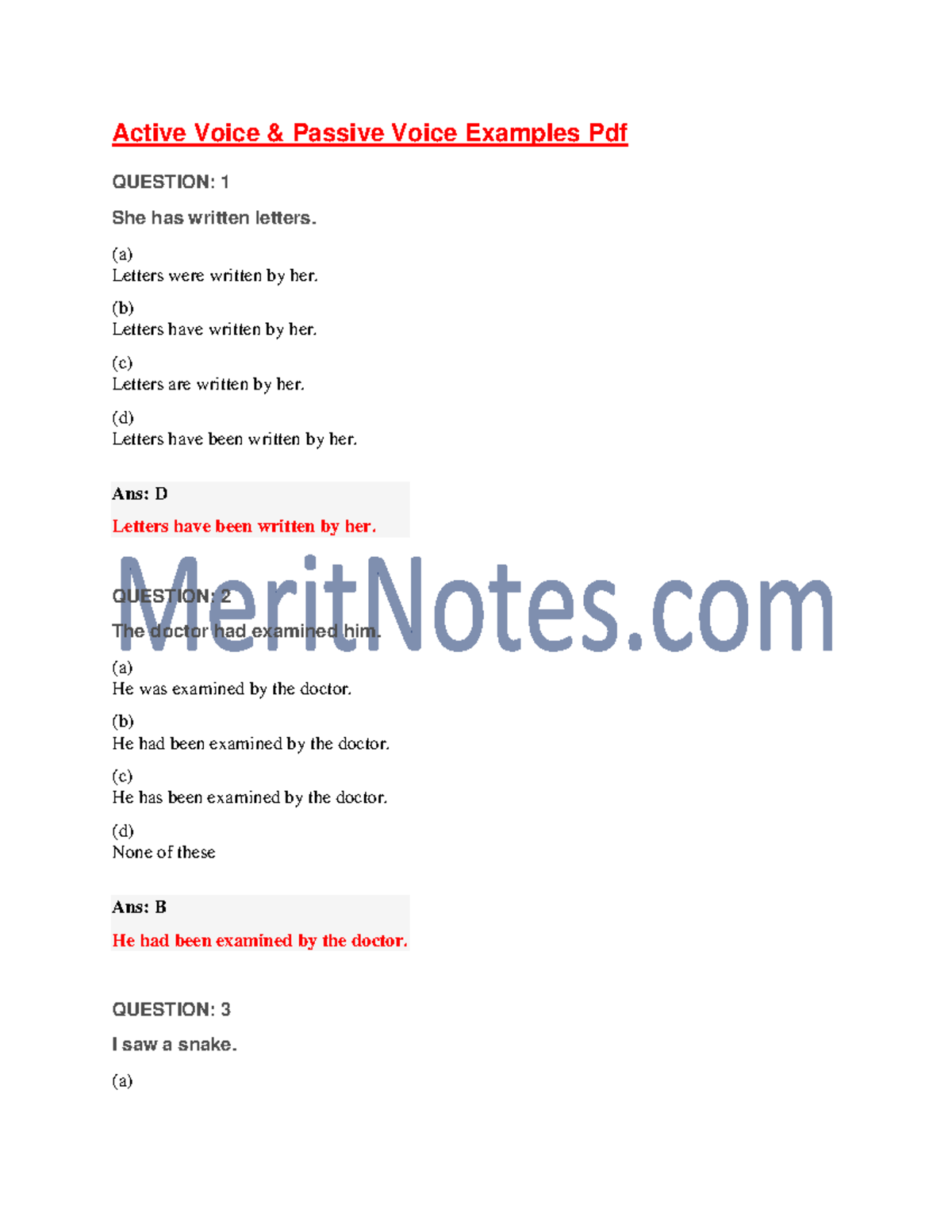 passive voice examples pdf