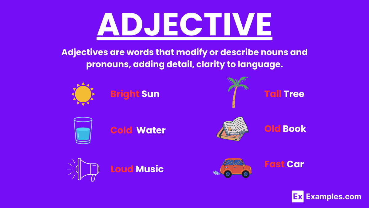 Adjective 100 Examples How To Use Tips