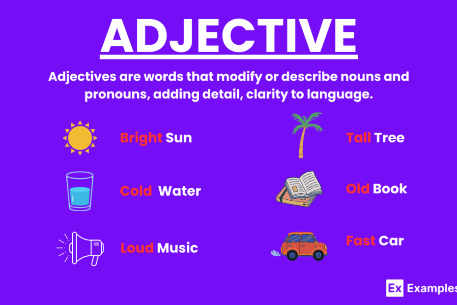 Adjective 100 Examples How To Use Tips