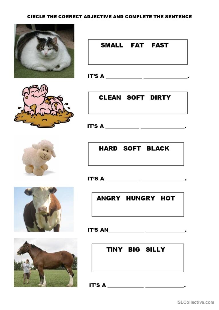 Adjectives animals English ESL Worksheets Pdf Doc