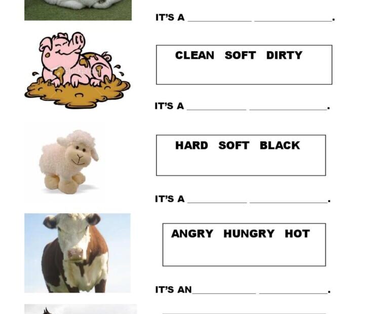 Adjectives animals English ESL Worksheets Pdf Doc