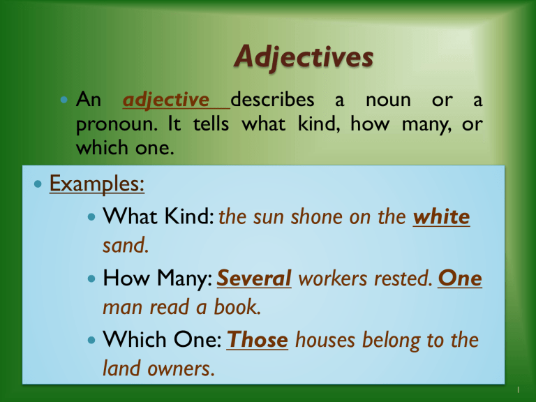 articles adjectives examples