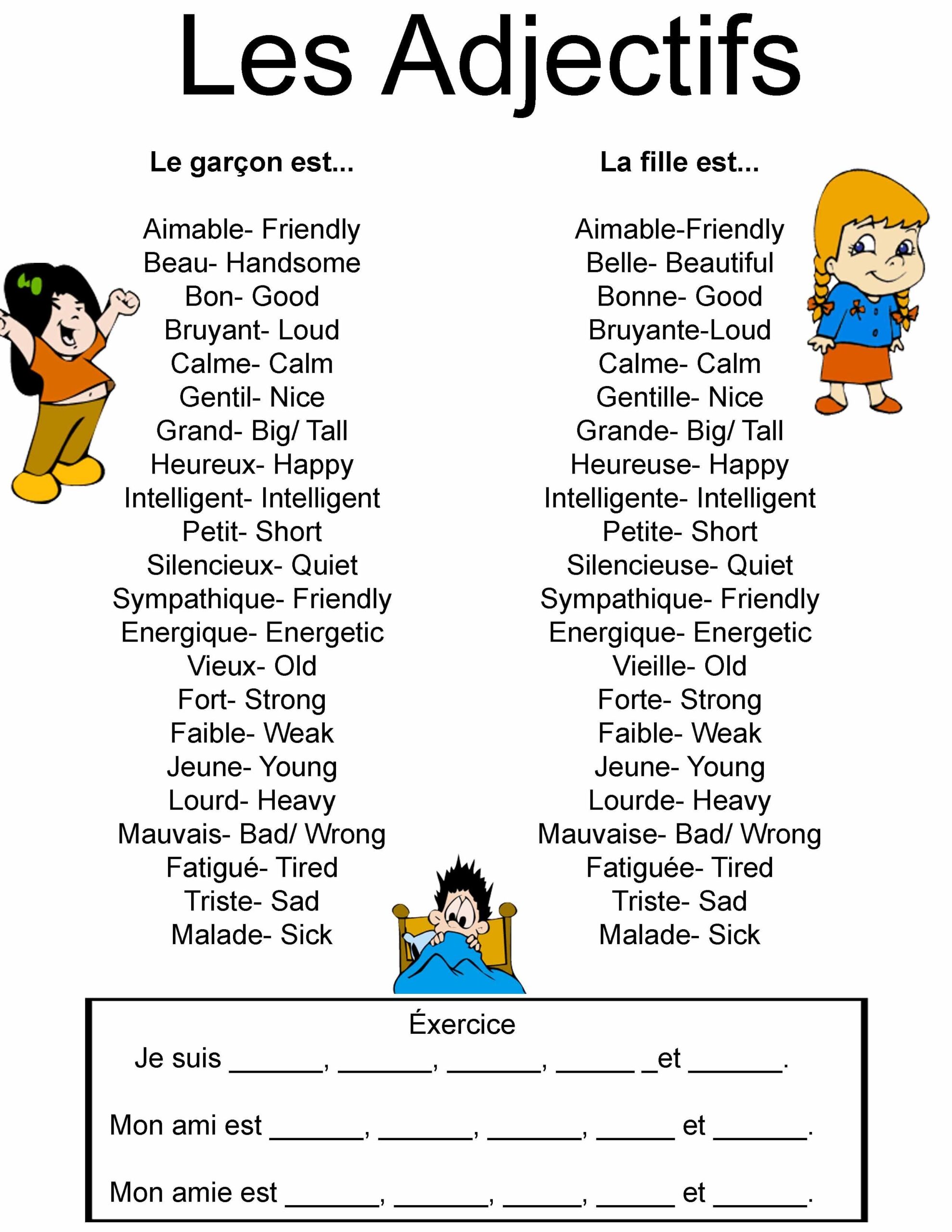 Adjectives En Francais