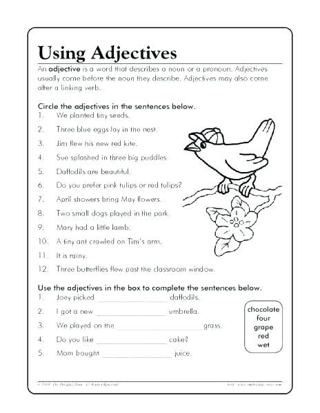 adjectives for second graders