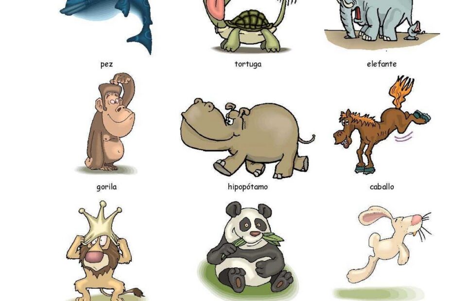 Animal Flashcards