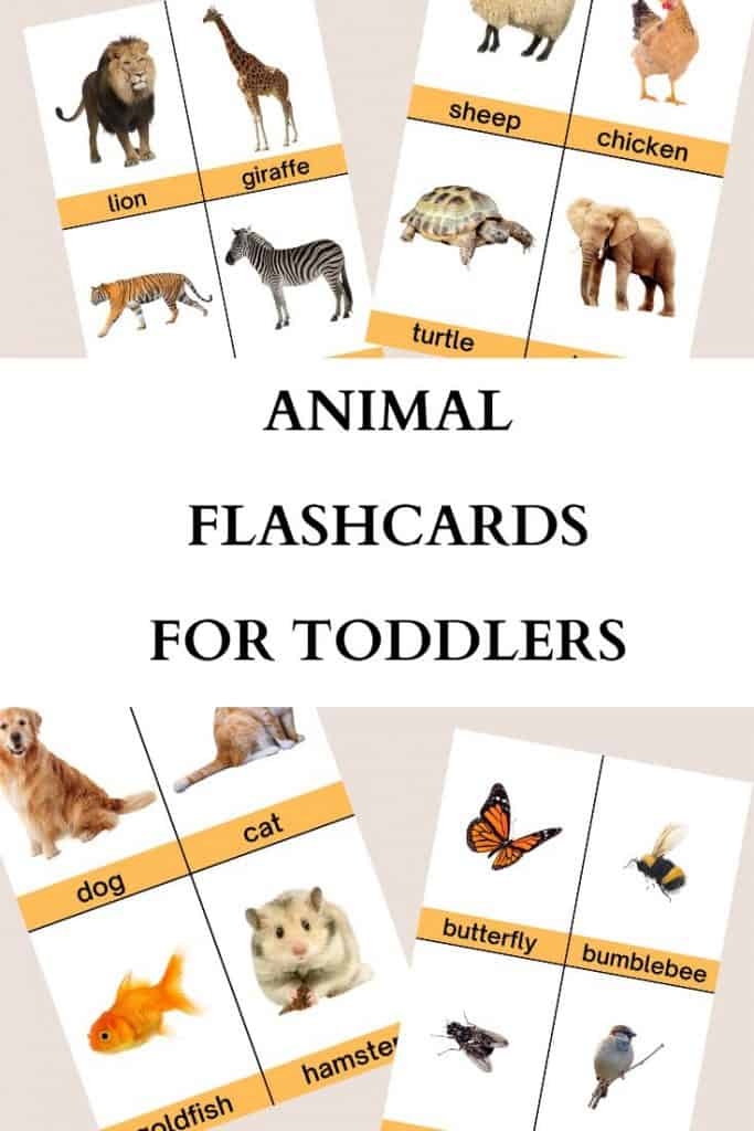 Animal Flashcards For Toddlers FREE Printable PDF Womanhood And LifeStuff