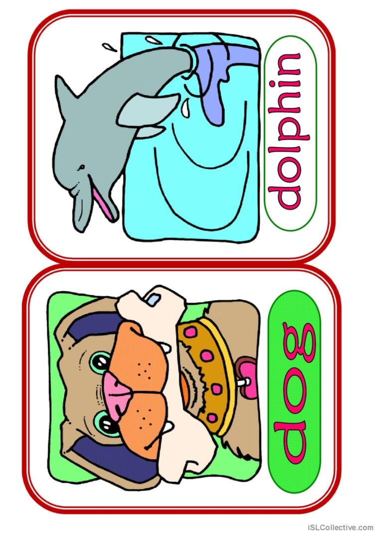 Animals 11 Vocabulary Flashcards An English ESL Worksheets Pdf Doc