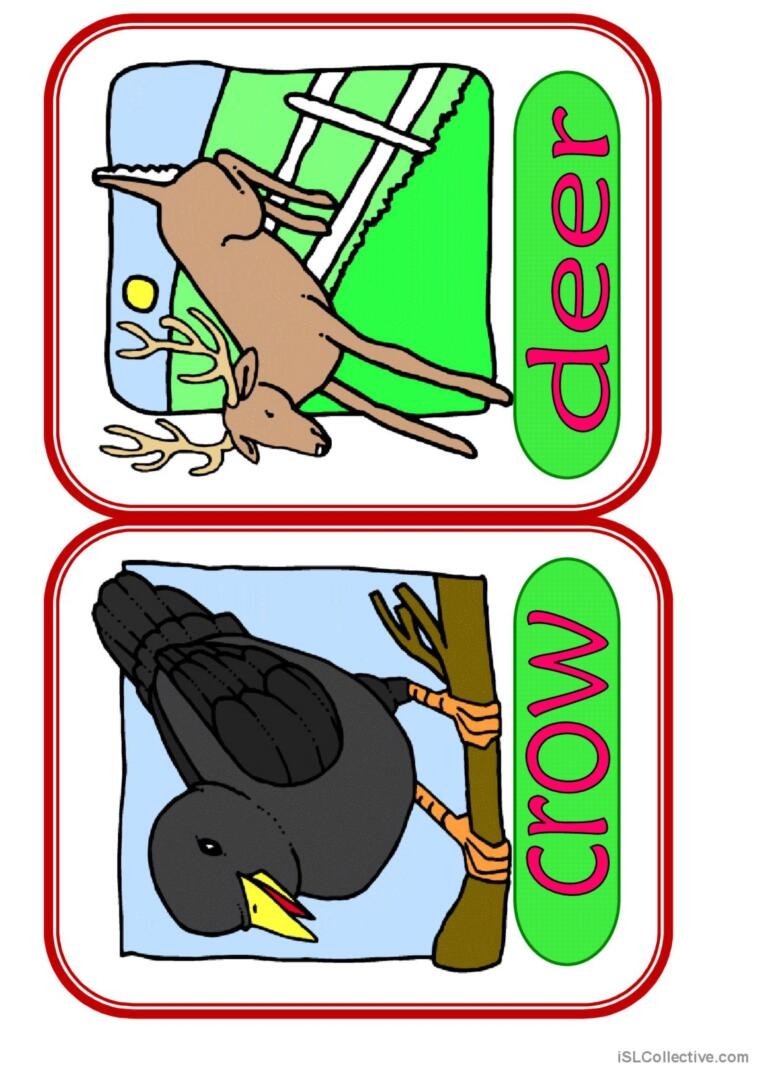 Animals 11 Vocabulary Flashcards An English ESL Worksheets Pdf Doc