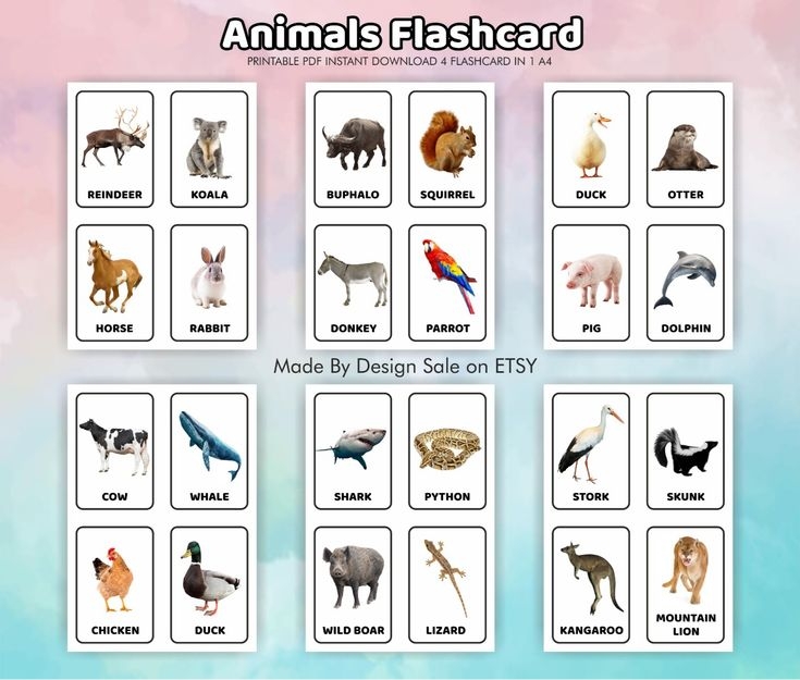Animals Flashcards For Preschoolers