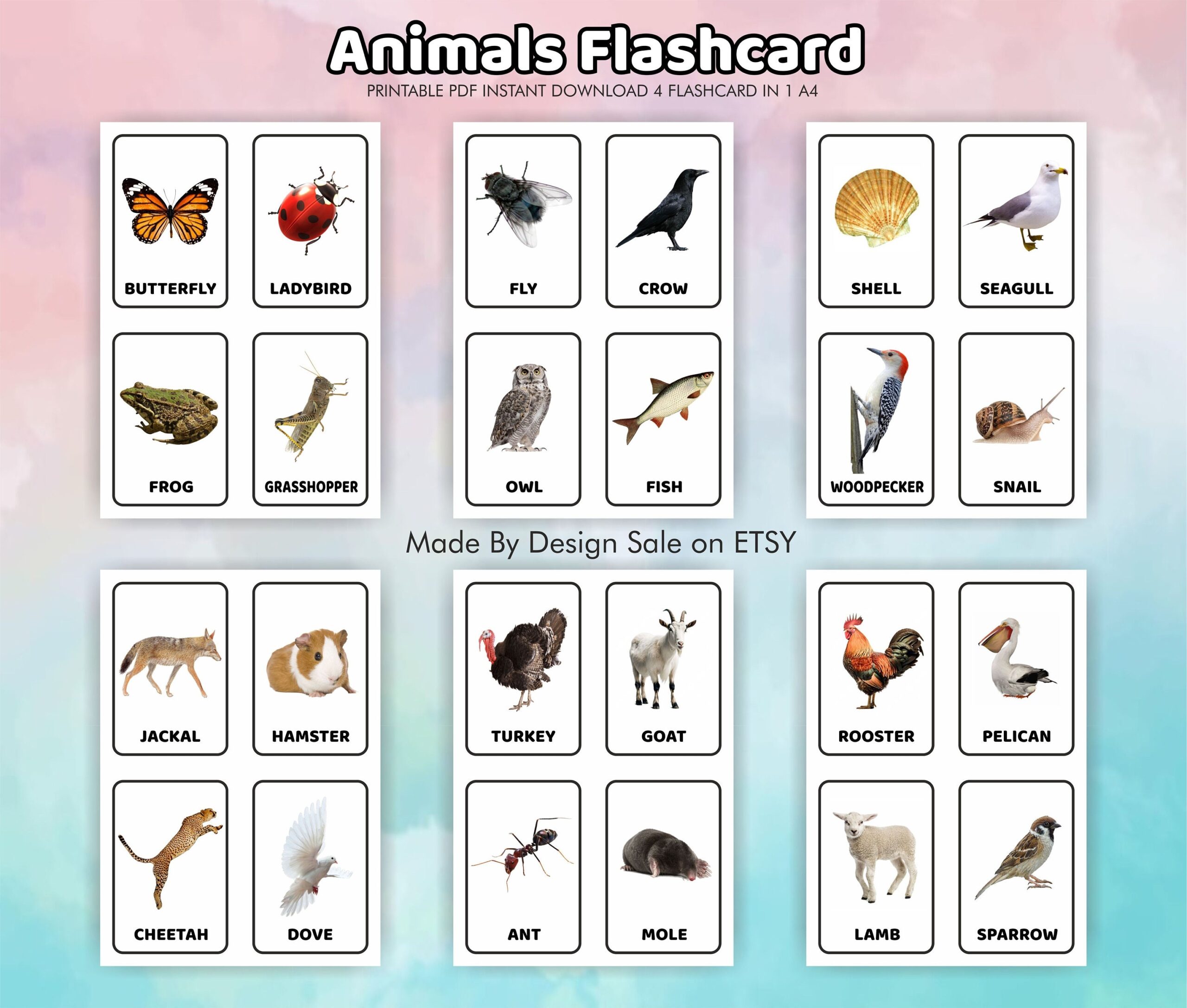 printable animals flashcards