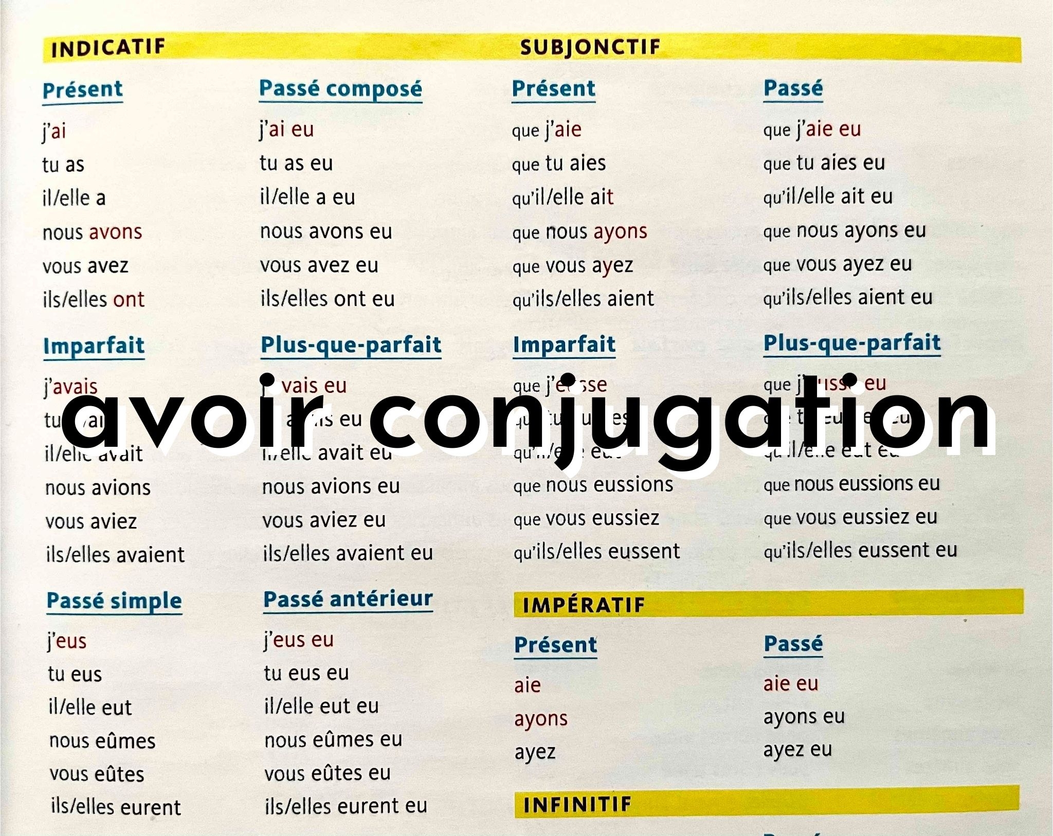 Avoir How To Use Avoir Conjugation And Examples Transtle 50 OFF