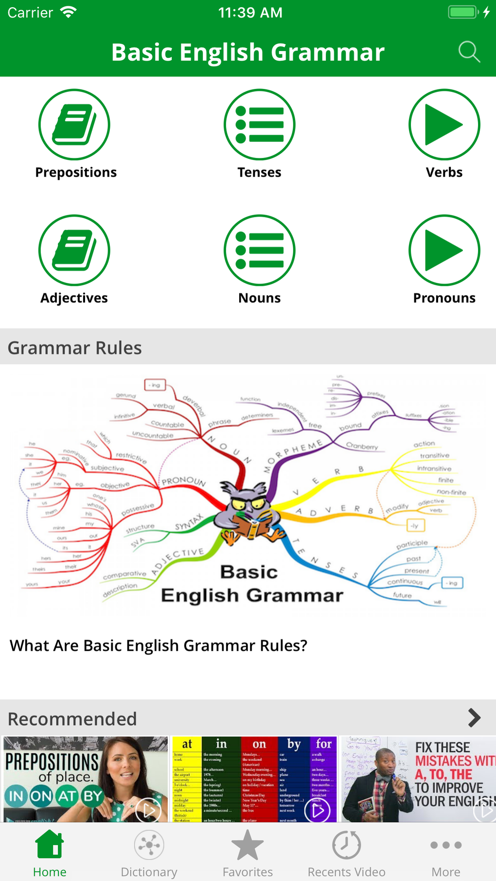 Basic English Grammar In Use For IPhone Download