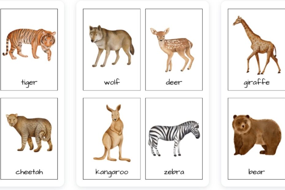Beautiful Wild Animals Flashcards For Kids Free Printable Womanhood