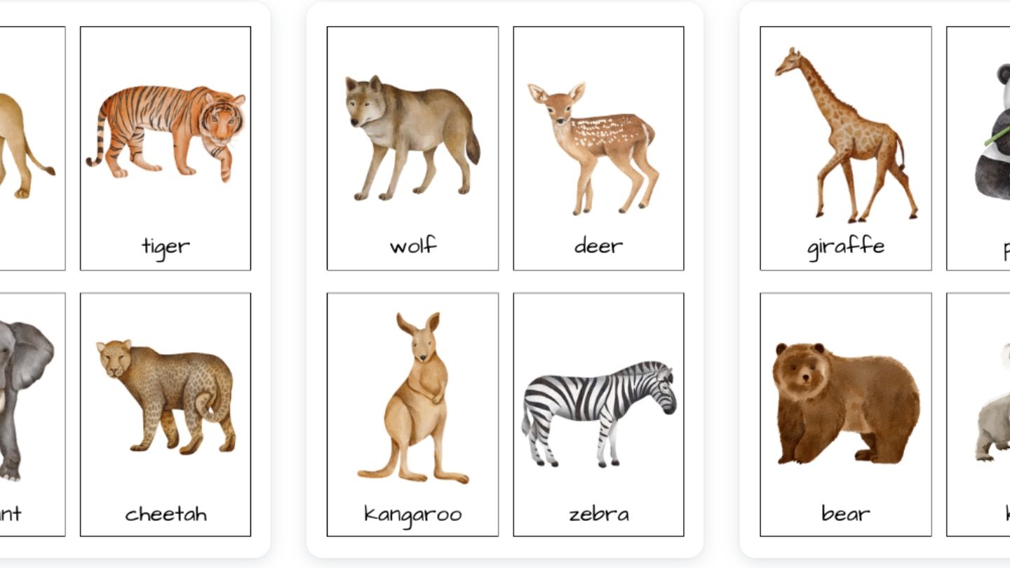 Beautiful Wild Animals Flashcards For Kids Free Printable Womanhood 