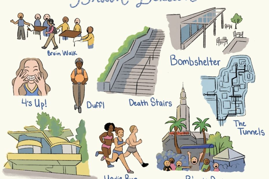 Bruin Vocabulary Defined BruinLife