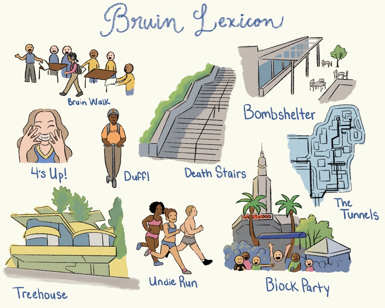 Bruin Vocabulary Defined BruinLife