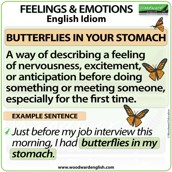 Butterflies In Your Stomach English Idiom Meaning And Examples 