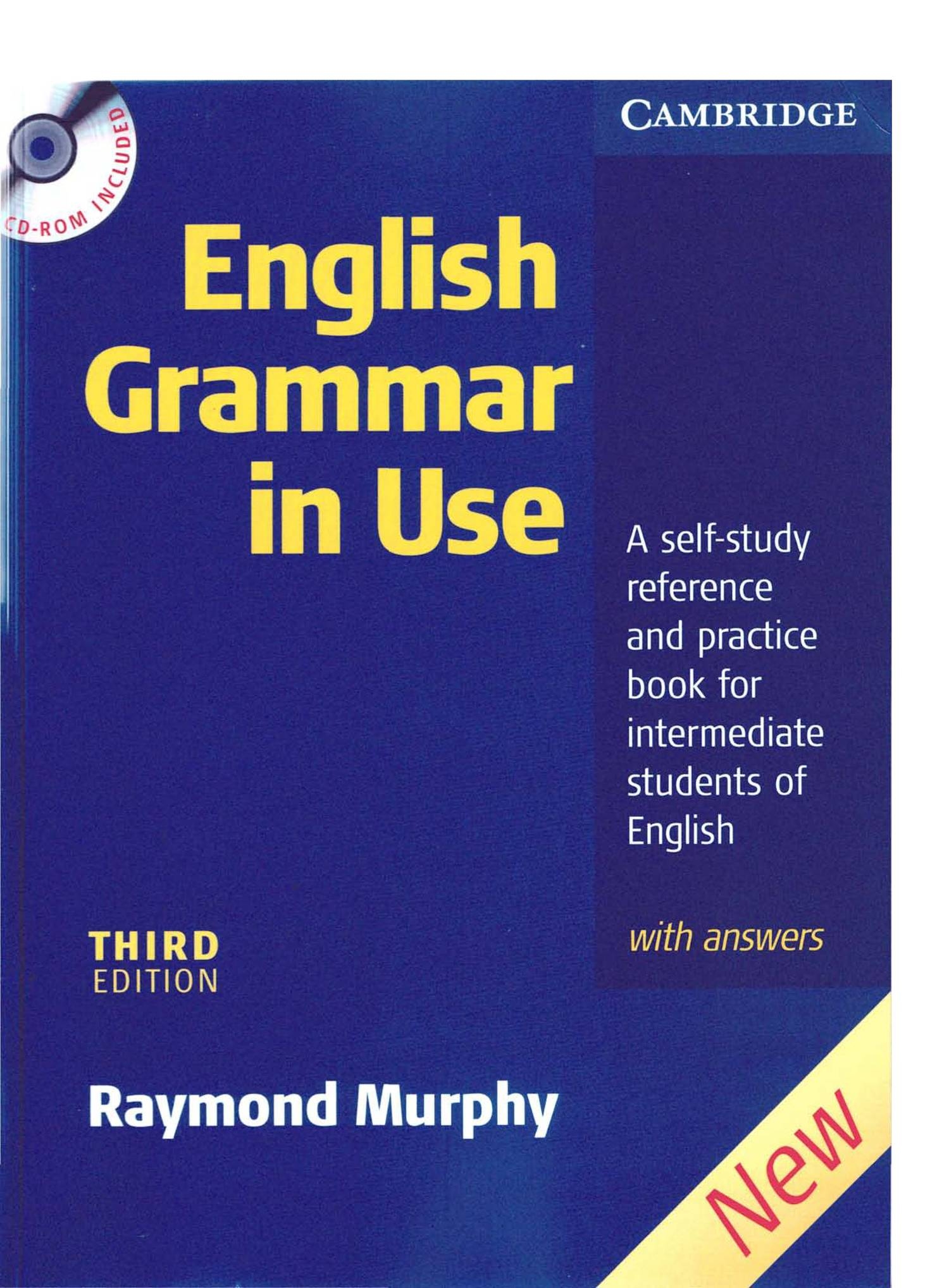 english in grammar in use