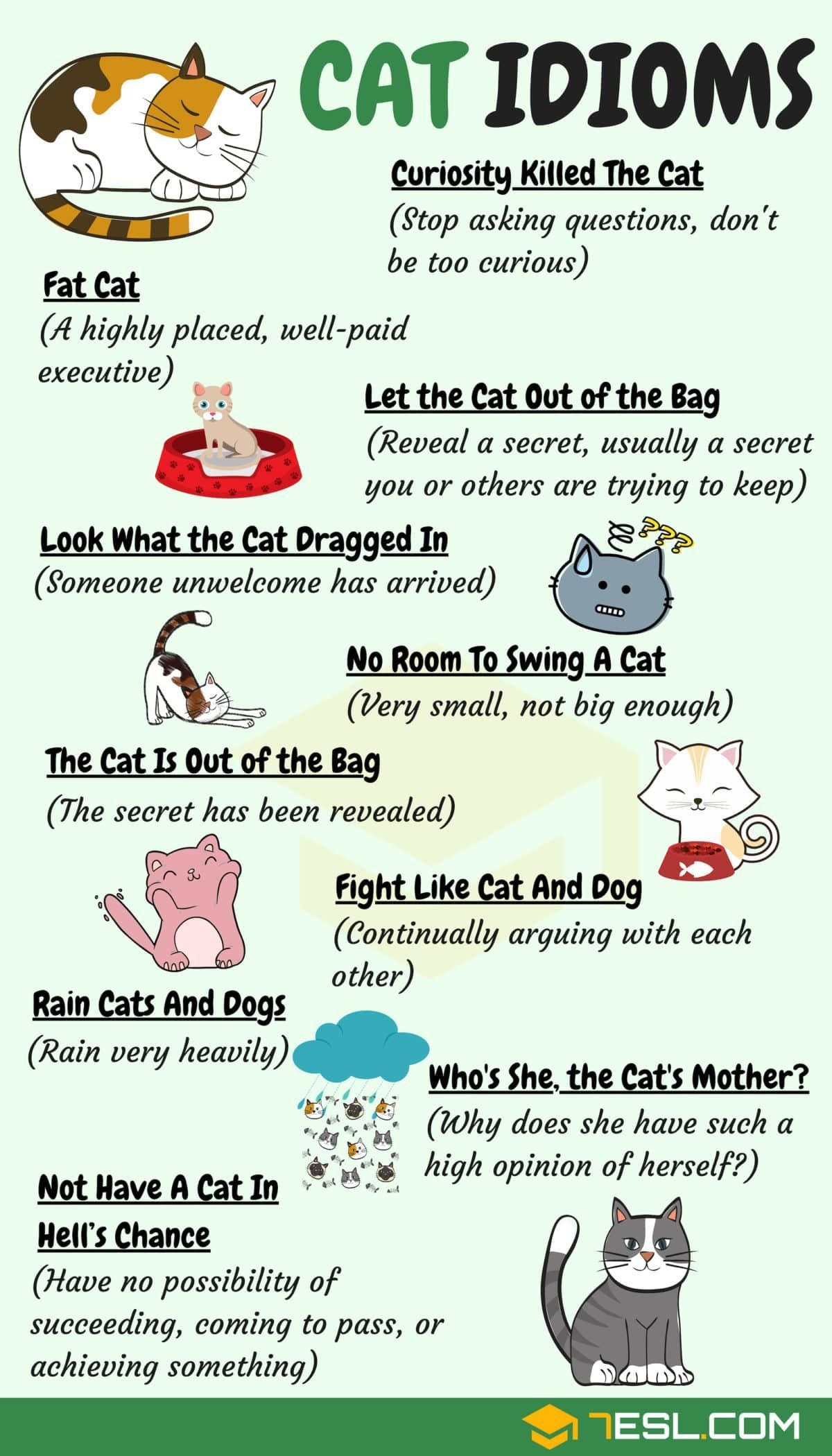 Cat Idioms 30 Useful Cat Idioms Sayings In English Artofit