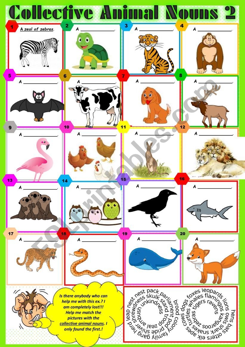 collective animal nouns