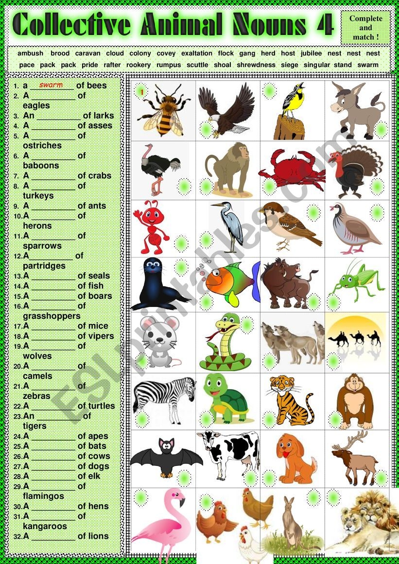COLLECTIVE ANIMAL NOUNS 4 Exercises KEY ESL Worksheet By Karagozian