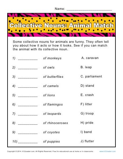 Collective Noun Worksheets Animals Match
