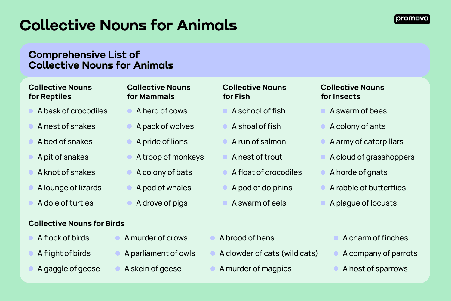 Collective Nouns For Animals Collective Nouns Birds Easere