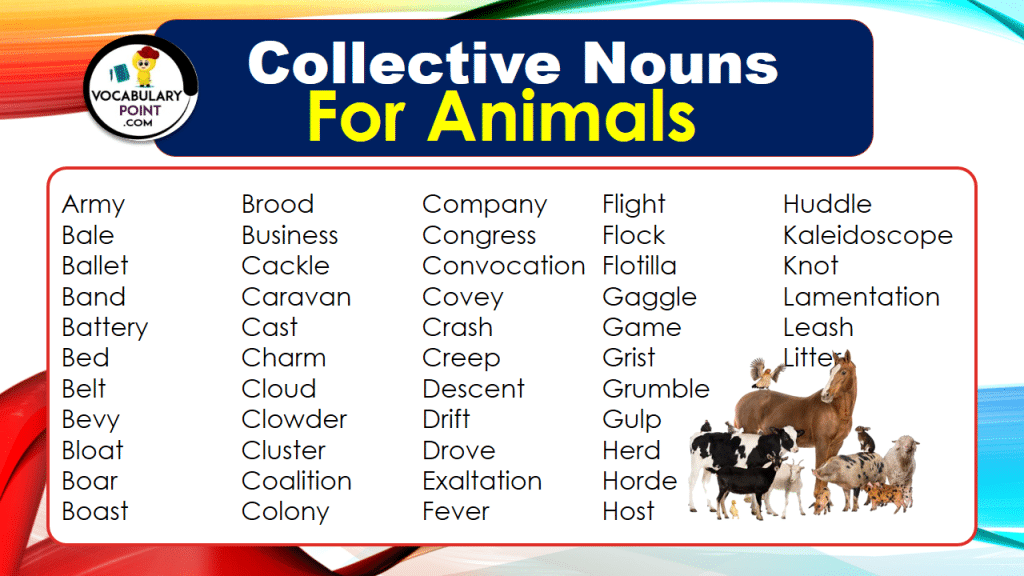 Collective Nouns For Animals With Meaning And Examples Vocabulary Point