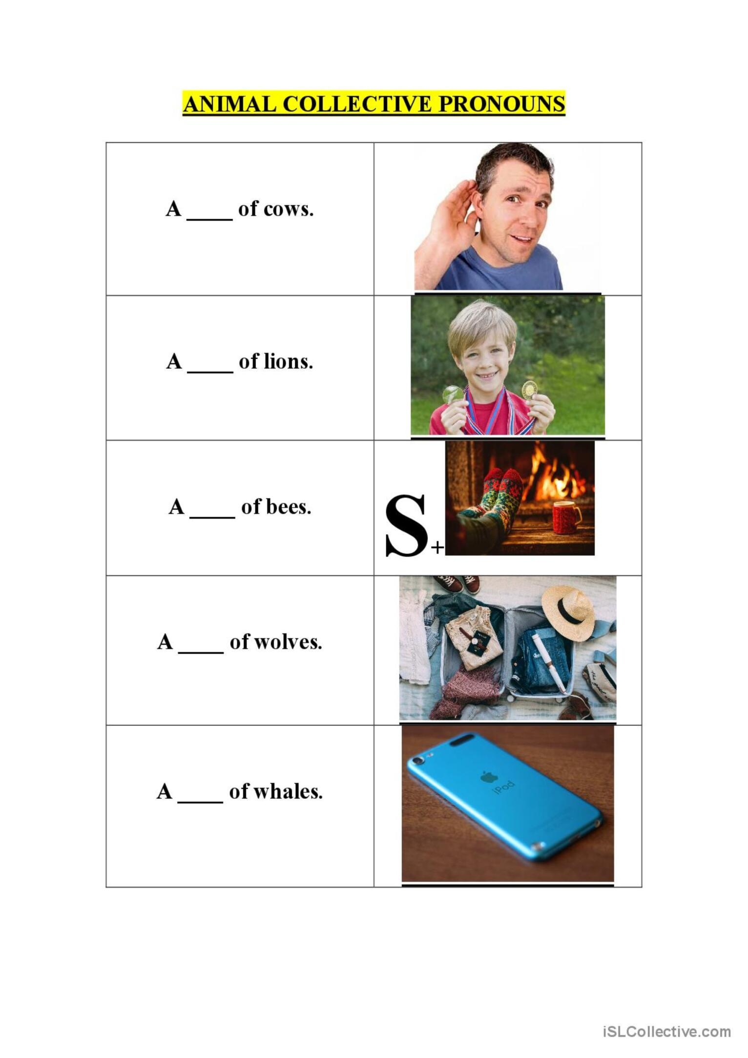 Collective Pronouns Of 15 Animals Gr English ESL Worksheets Pdf Doc