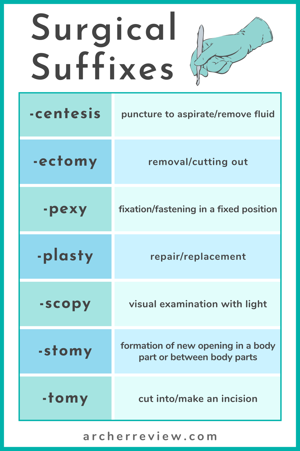Common Prefixes Suffixes And Combining Forms Vrogue co