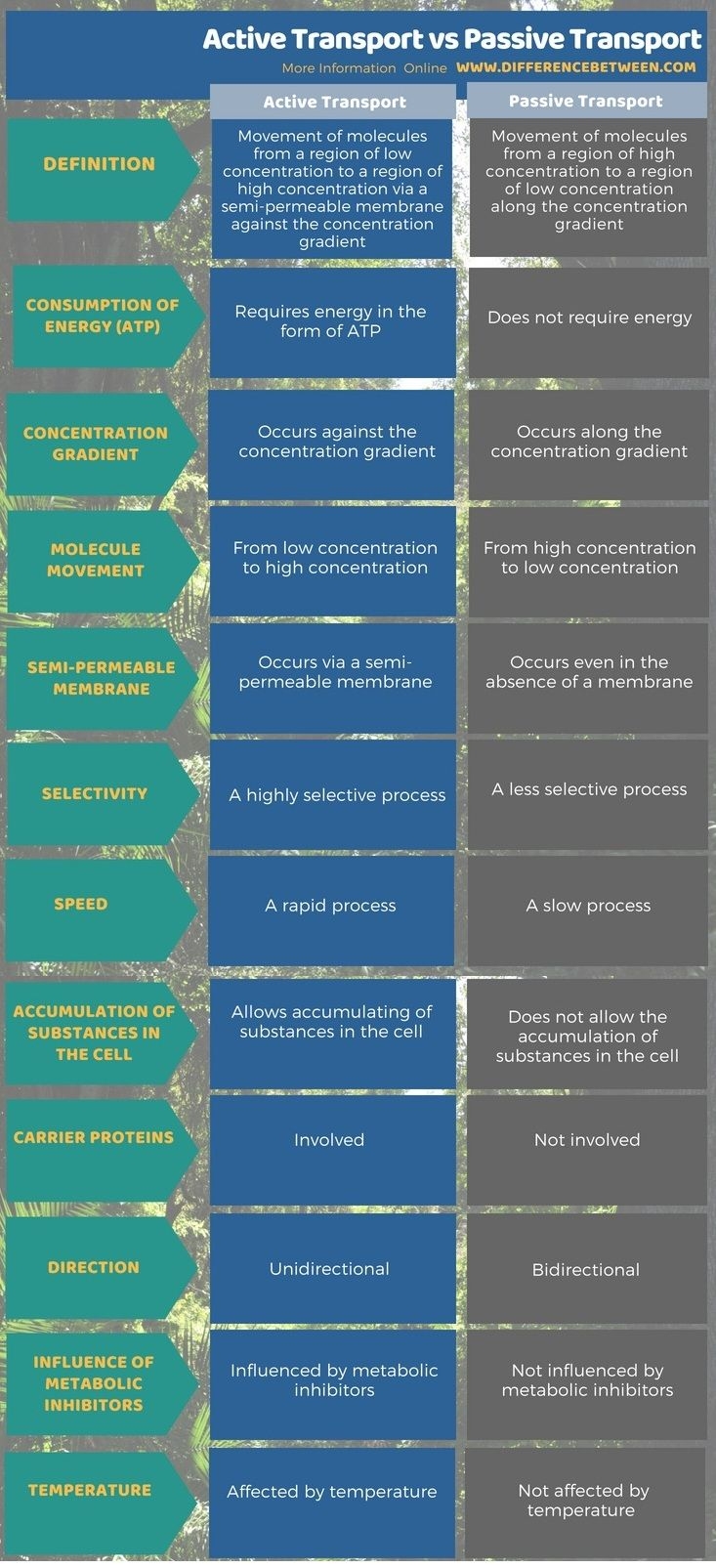 difference between active and passive