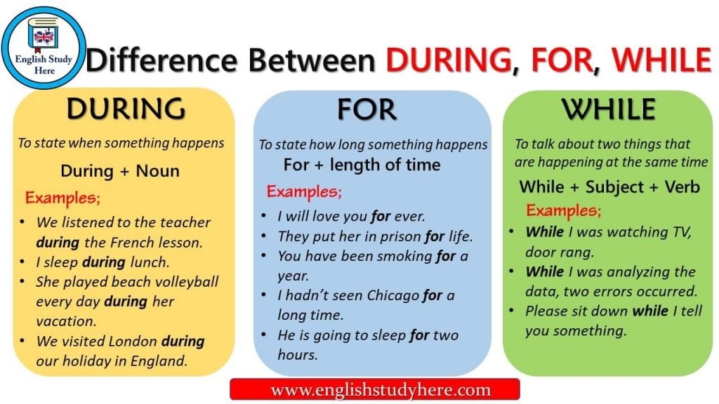 difference between when and during
