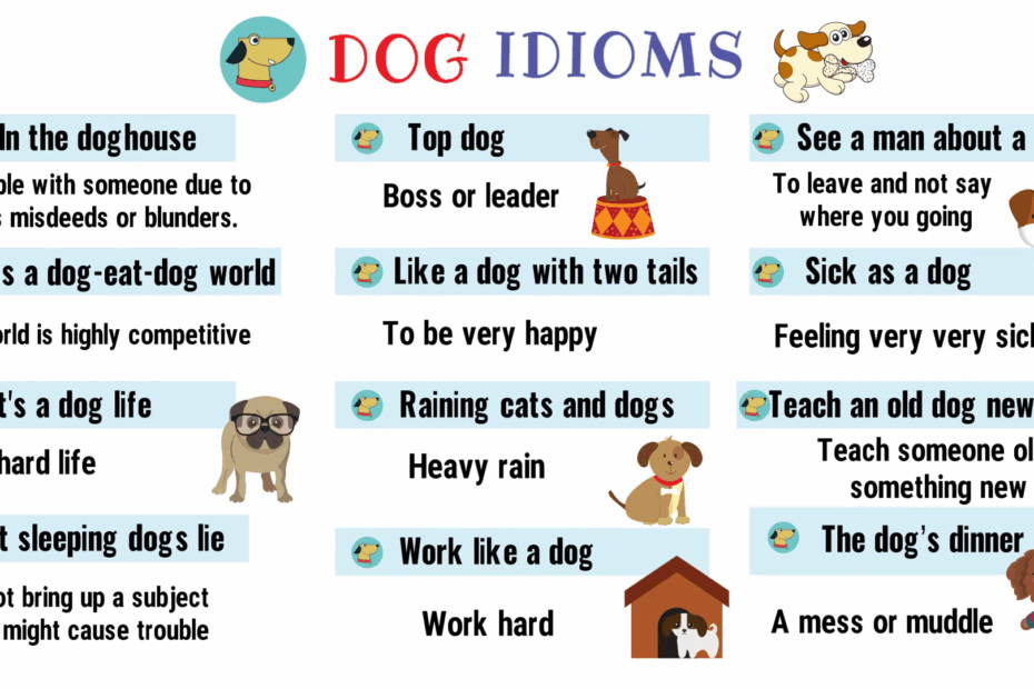 Dog Idioms And Sayings List Of 35 Interesting Idioms Related To Dog