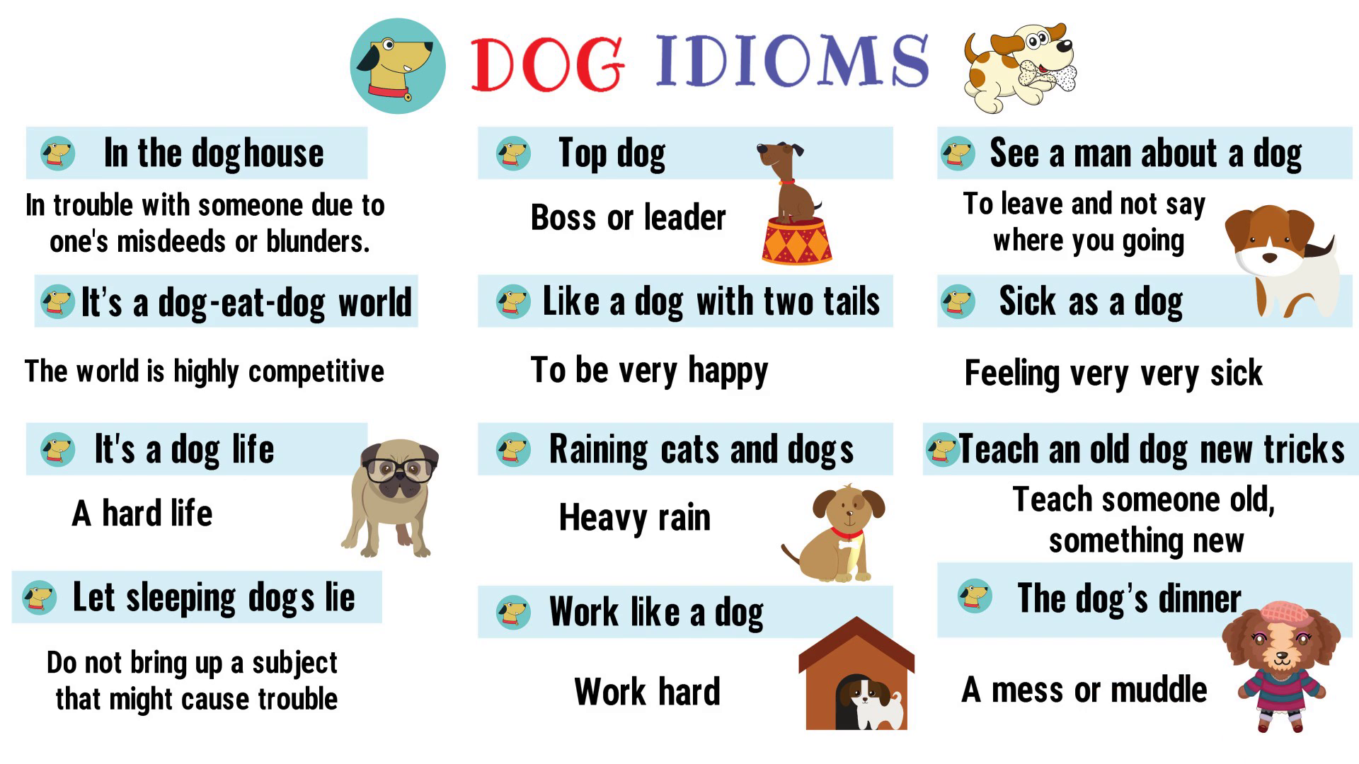 Dog Idioms And Sayings List Of 35 Interesting Idioms Related To Dog 
